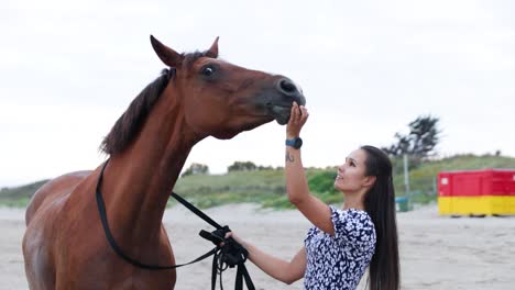 a beautiful girl with long hair in a blue dress gives her horse a treat on the beach during the evening in donabate, ireland