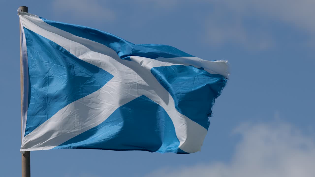 Blue and white flag flutters dynamically on flagpole, bright daylight, clear sky, steady camera