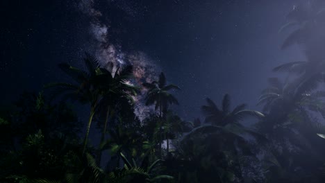 4k astro of milky way galaxy over tropical rainforest.