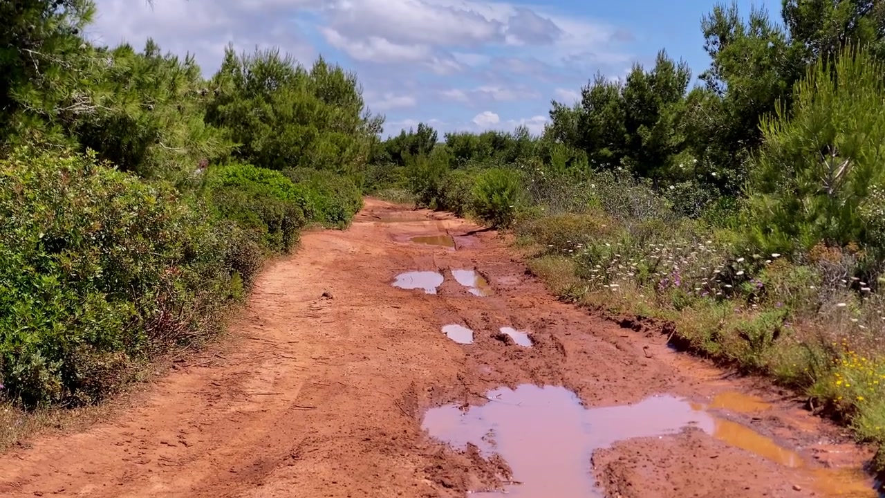 Sentiero rurale attraverso la vegetazione verde, che mostra solchi profondi e pozzanghere marroni piene d'acqua sotto un cielo luminoso.