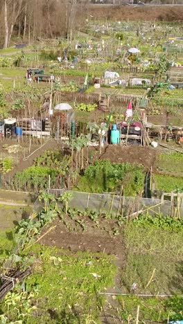 jardín comunitario de la ciudad video vertical