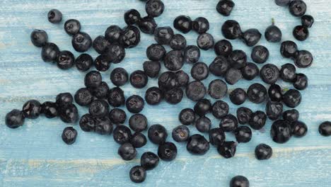 defrosting frozen blueberry. timelapse of unfreezing, ice melting of fruits, berries on blue surface