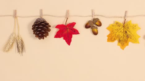 autumnal accessories hanged on the rope. stop motion