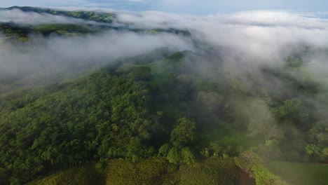paisaje natural y bosques tropicales de costa rica