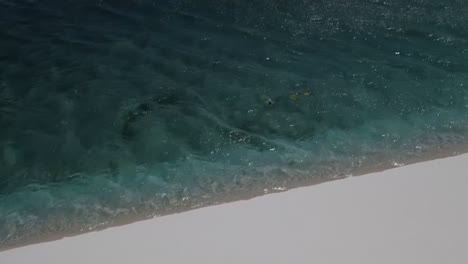 flowing rainwater trapped in the freshwater lagoons in brazilian dunes.