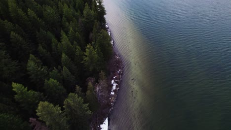 Aerial-Pine-Tree-Forest,-Snowy-Coastline,-Shallow-Water-with-Ripple-Waves,-during-the-Afternoon-at-St