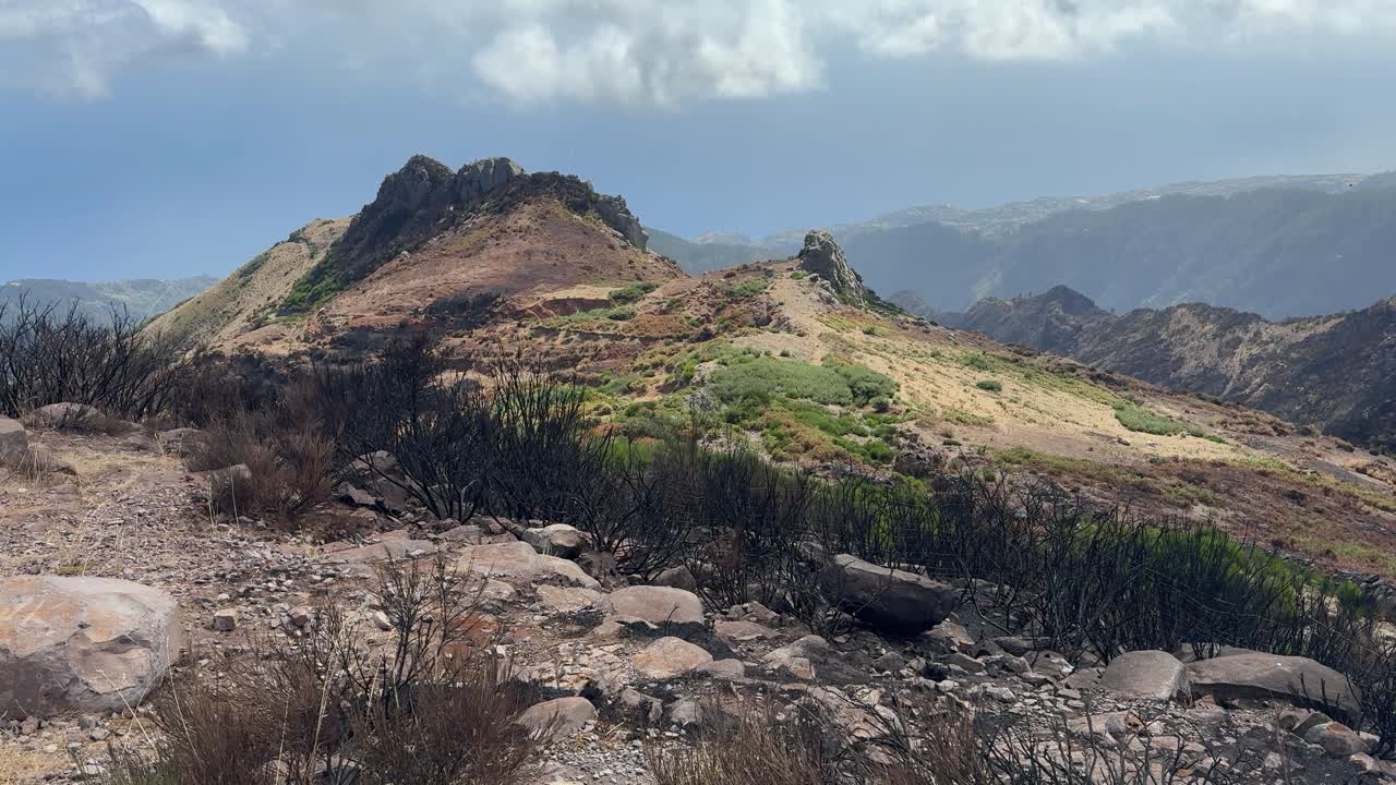 Madeira's scorched terrain, burnt vegetation, rocky slopes, and resilient landscapes amidst natural recovery.