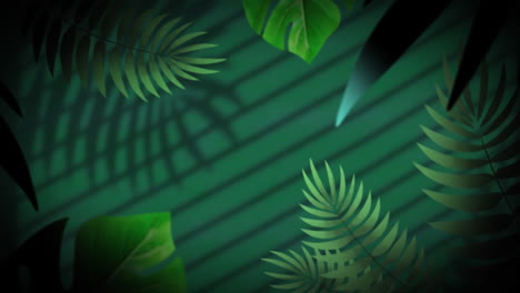 animation of jungle plants over leaves and window shadow on green background