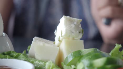 cheese and salad plate