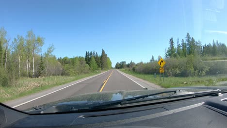 pov while driving on a narrow county road in a rural, forested area of northern minnesota in early spring on a bright day