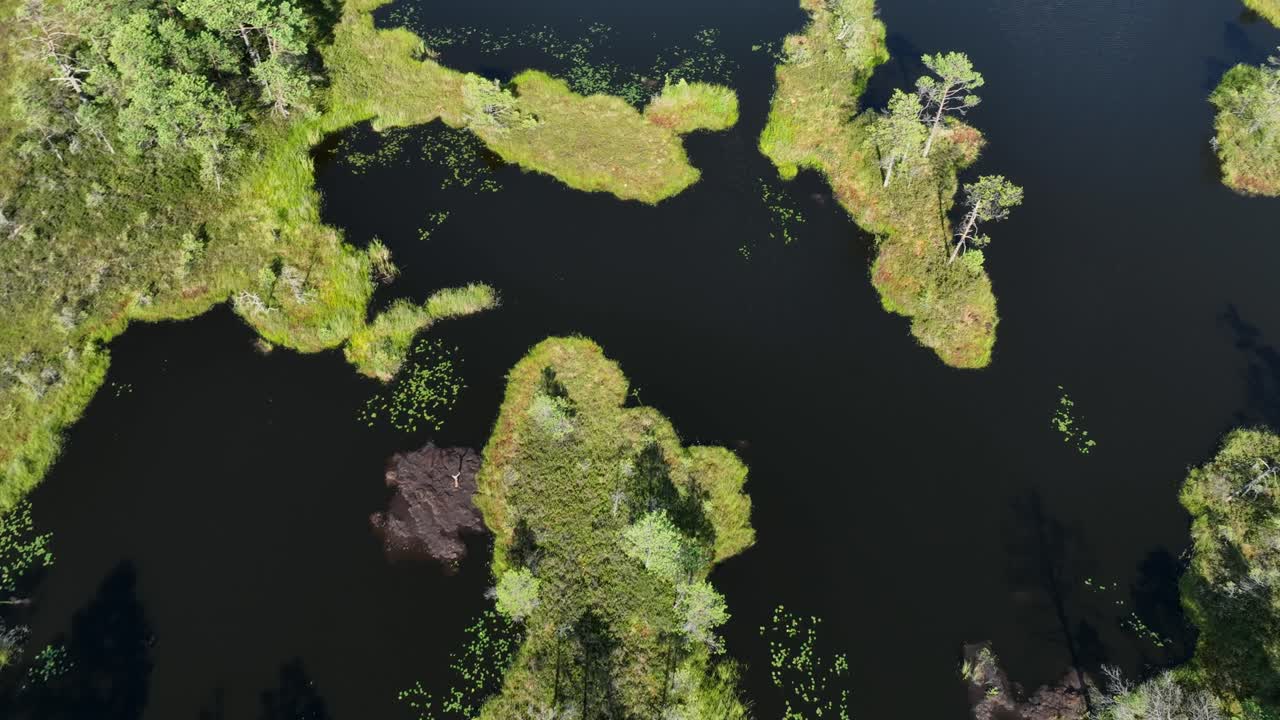 Aerial view of bog lake in Tolkuse bog in Estonia