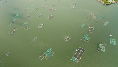 fish farm on the lake taal, philippines. fish farm with fish cages, top view