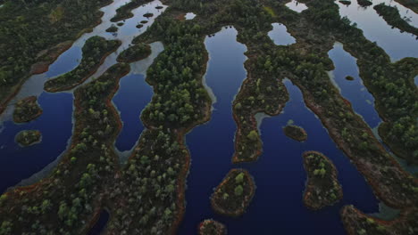 an aerial view of a lake surrounded by trees