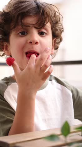 Young boy eating raspberries on balcony