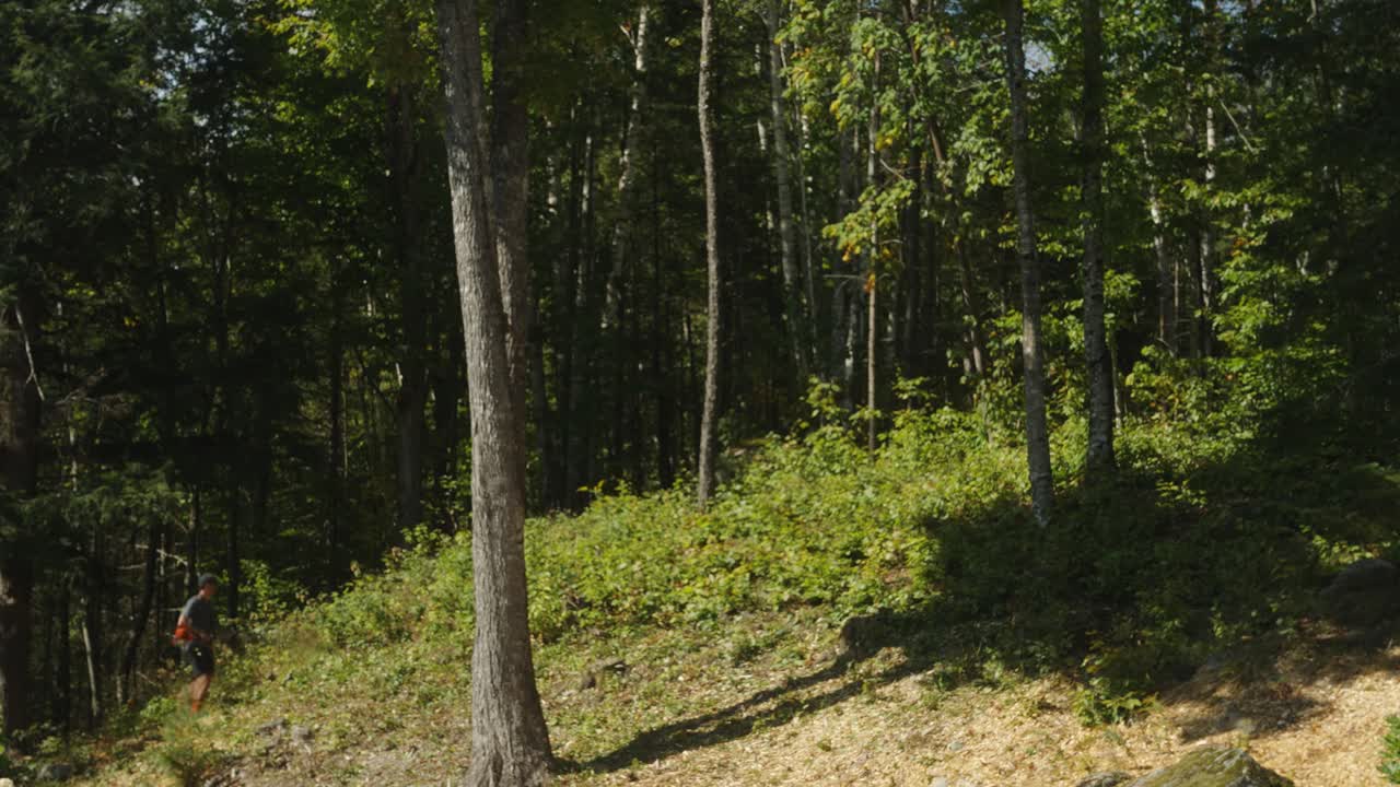 Time-lapse di un operaio che usa un decespugliatore per ripulire un pendio dalla vegetazione forestale.