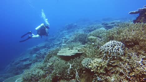 Scuba diver drifting in a mild current over a coral reef
