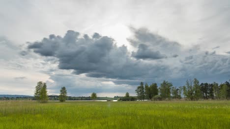 storm clouds move over a landscape with trees next to a lake