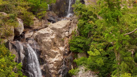 una imponente cascada que fluye por los densos bosques de la selva de vietnam