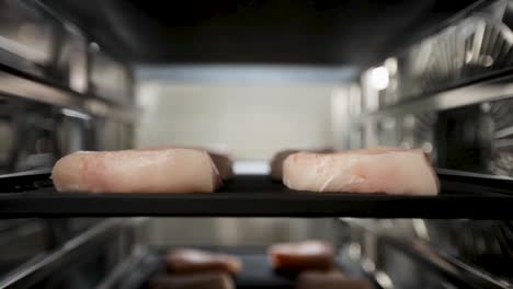 Filetes-De-Pescado-En-Bandejas-Moviéndose-A-Través-De-Un-Sistema-Transportador-De-Cocina-Comercial.