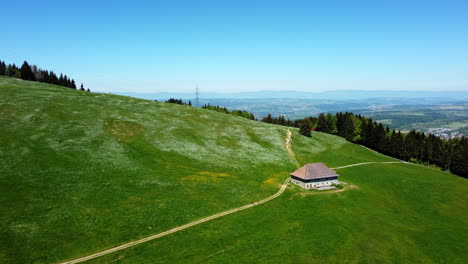 narcissus wildflowers in meadow at les pleiades, vaud, switzerland overlooking the townscape of chatel saint denis