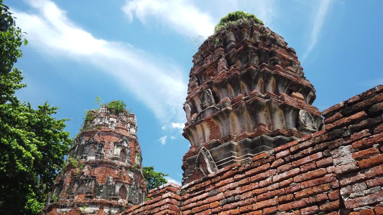 정적 샷: 나무가 포기하는 역사적인 아유타야 태국의 오래된 도시에 있는 불교 사원