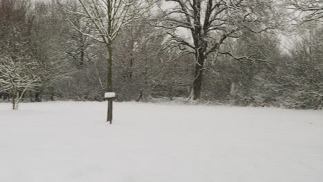 shot of heavy snowing caused by lake effect