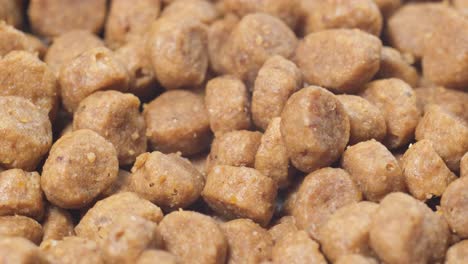 dry dog food rotates in a circle close up. dry dog food rotates in a circle. close up