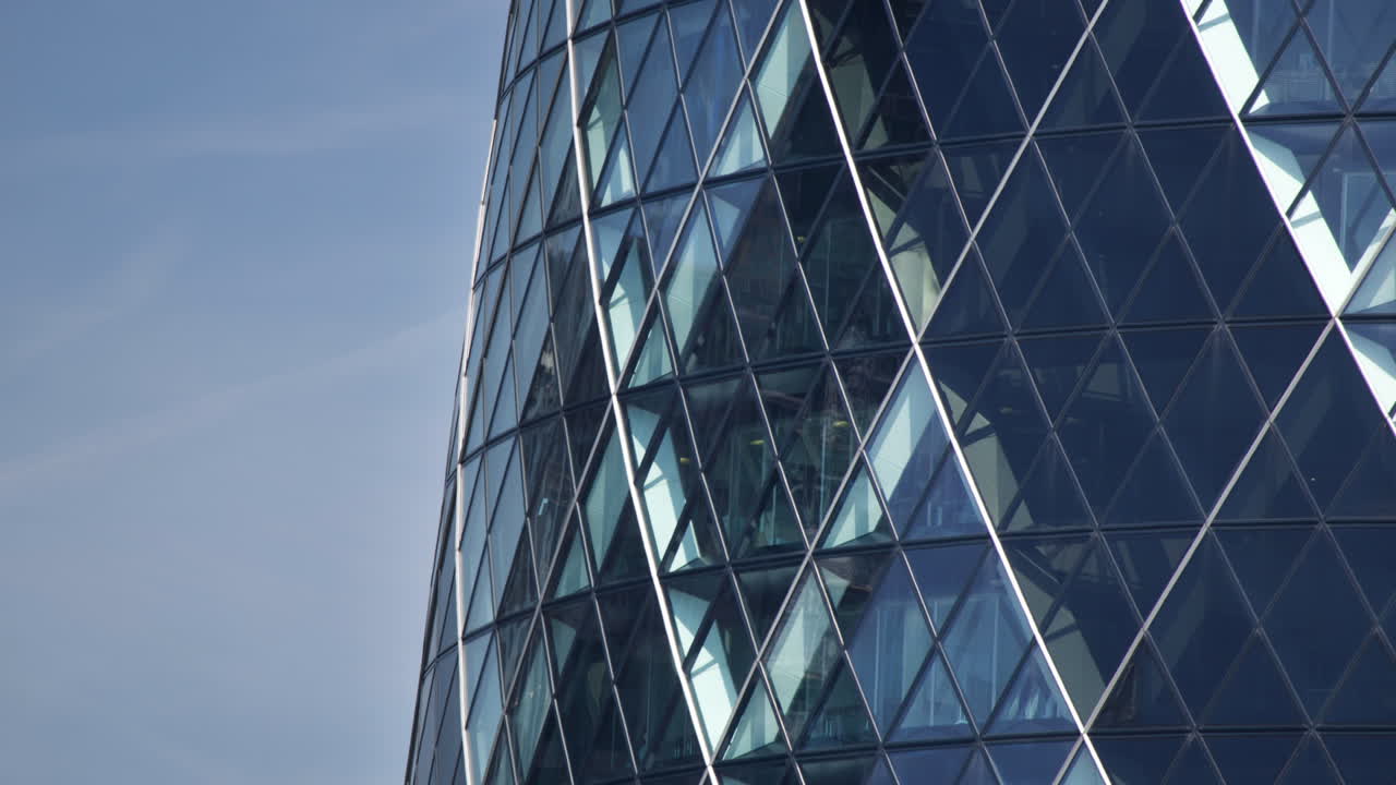 pepinillo de cerca 01