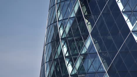 Gherkin-Close-Up-01