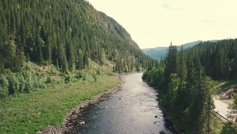 Drohnenaufnahme-Nach-Vorne-über-Einen-Fluss-Neben-Einer-Straße-In-Einem-Wald