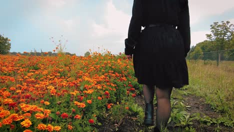 Sexy-woman-torso-in-dress-that-flare-with-belt,-walk-in-marigold-flower-garden