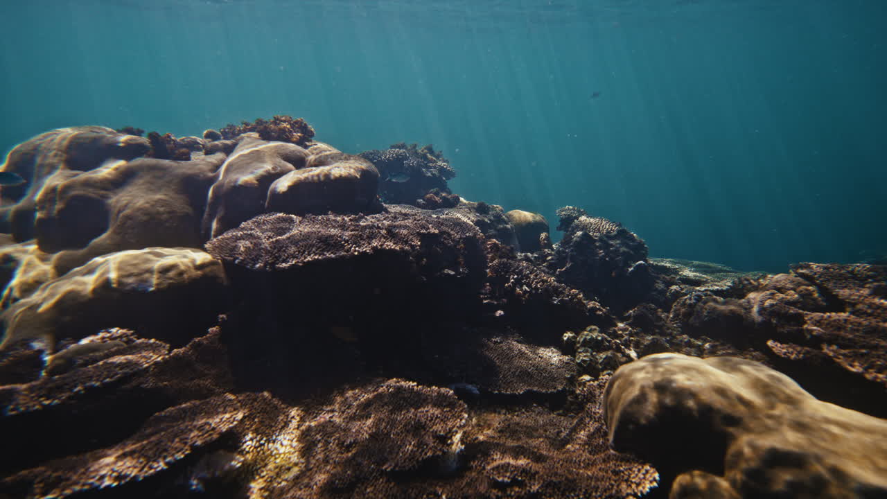 Sun light sparkles and shines down refracting in mystical pattern across mounding coral