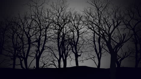 bosque místico en la noche con cielo oscuro