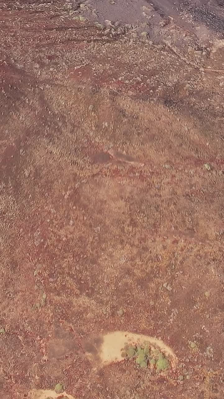 I visitatori esplorano il paesaggio arido nelle Isole Canarie, Spagna, durante il giorno.