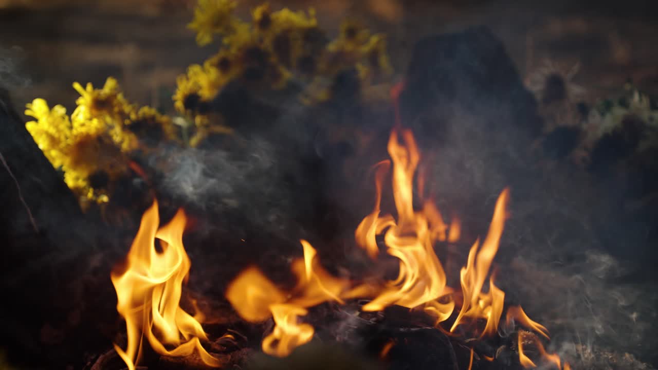 Il fuoco sacro brucia con fumo e fiori durante la cerimonia Maya