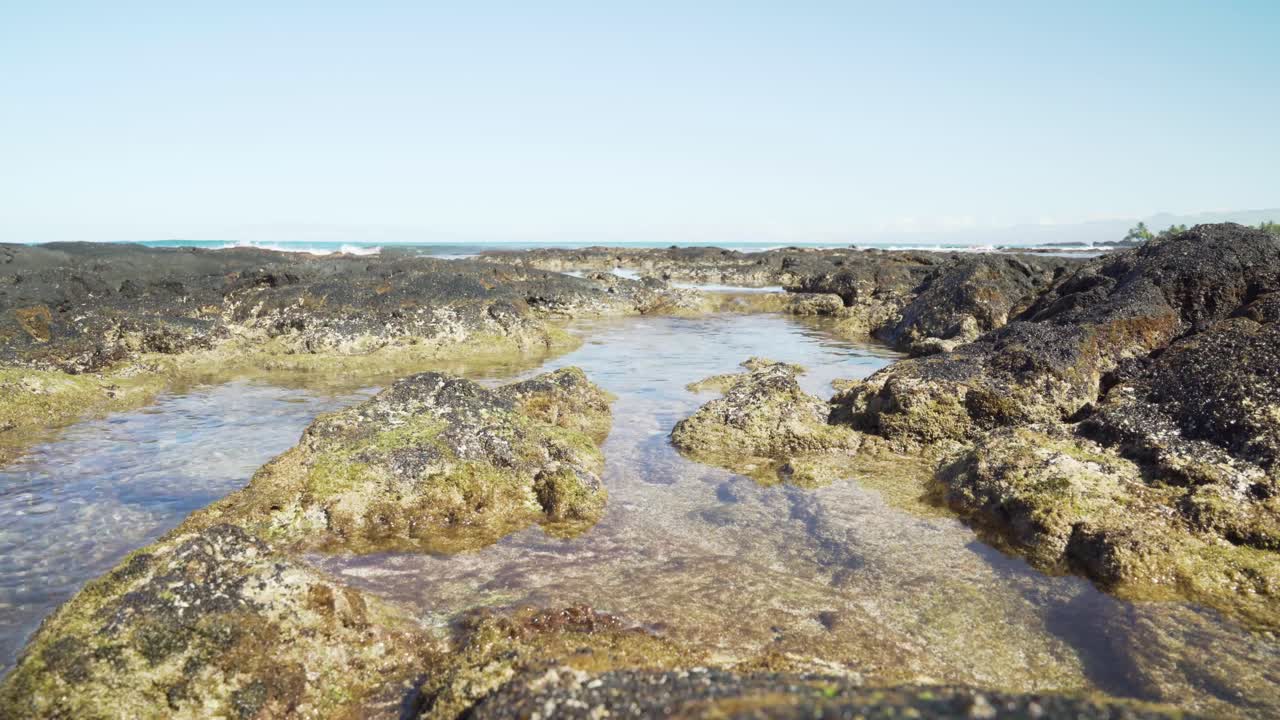 piscina de marea clara en la parte superior de la roca de lava cubiertas de musgo con olas arrastrándose suavemente