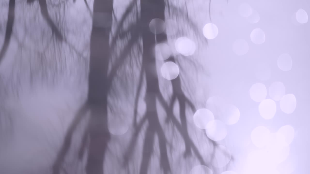 표면에서 벌거벗은 겨울 나무의 반사