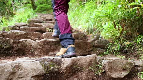 Joven-Sube-Las-Escaleras-De-Piedra-En-El-Bosque-Verde-Y-Exuberante,-Toma-De-Cerca