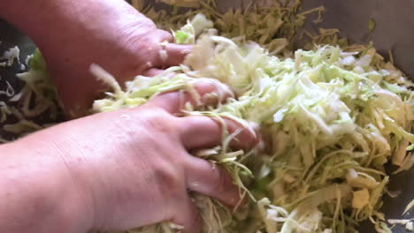 woman's hands squeezing shredded white cabbage in a stainless steel bowl to make sauerkraut