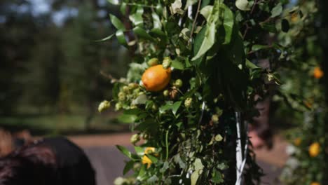 Lemon and Hop Decor