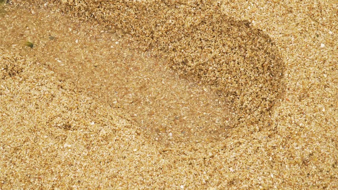 포르투갈, 포르토, 안게이라스의 모래 언덕 표면을 가로질러 작은 참호를 조각하는 물 모래