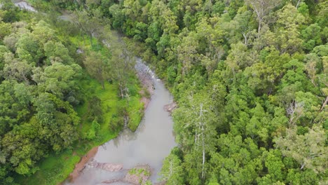 aerial view of lush forest and winding creek