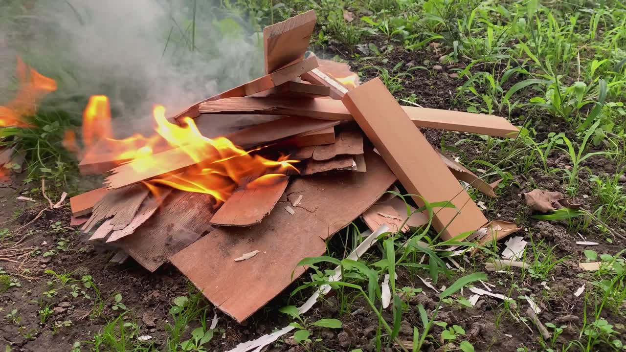 잔디 위의 나무에 타는 불의 슬로우 모션-1