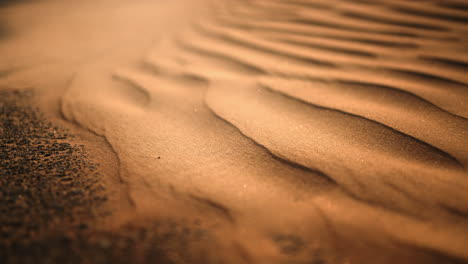 close-up of desert sand ripples