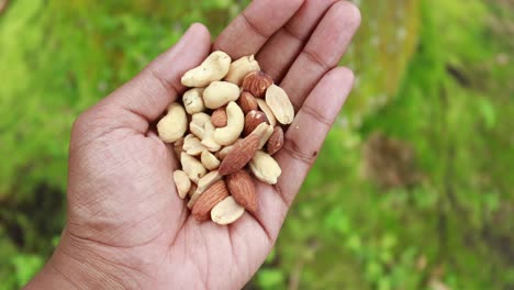 Top view of mixed nuts on hand