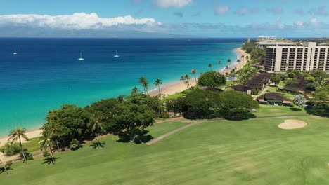 aerial view of white birds flying over a golf course and beach in maui, hawaii