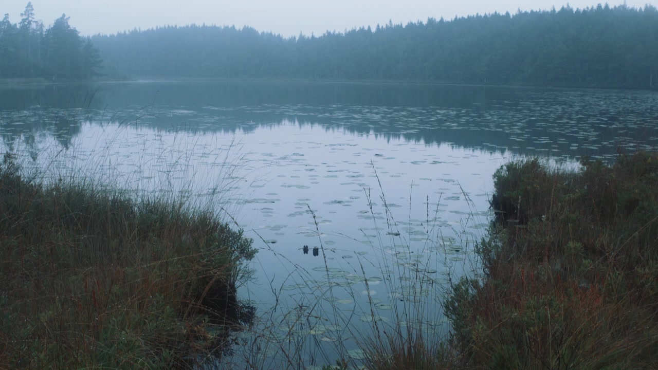 Lago nebbioso in una mattinata nebbiosa con lenta inclinazione