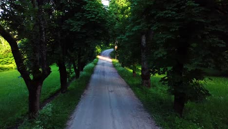 aerial shot above a country road surrounded by trees