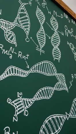 dna and rna diagrams on a chalkboard