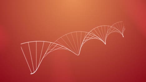 Animation-of-macro-of-dna-strand-spinning-on-orange-background